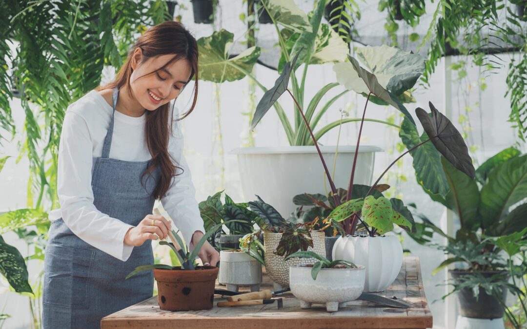 Cash Flow Management Tips Every Small Business Owner Should Know